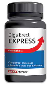 GIGA ERECT